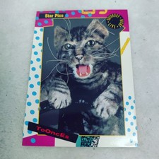 Toonces SNL Card 1992 Saturday Night Live Star Pics # 24 The Driving Cat