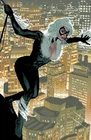 BLACK CAT #1 ADAM HUGHES EXCL VIRGIN VARIANT LTD 500 SPIDER-MAN 2025 HOT!