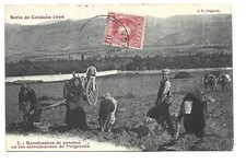 Spain Series Of Cerdana 1906 Potato Collection