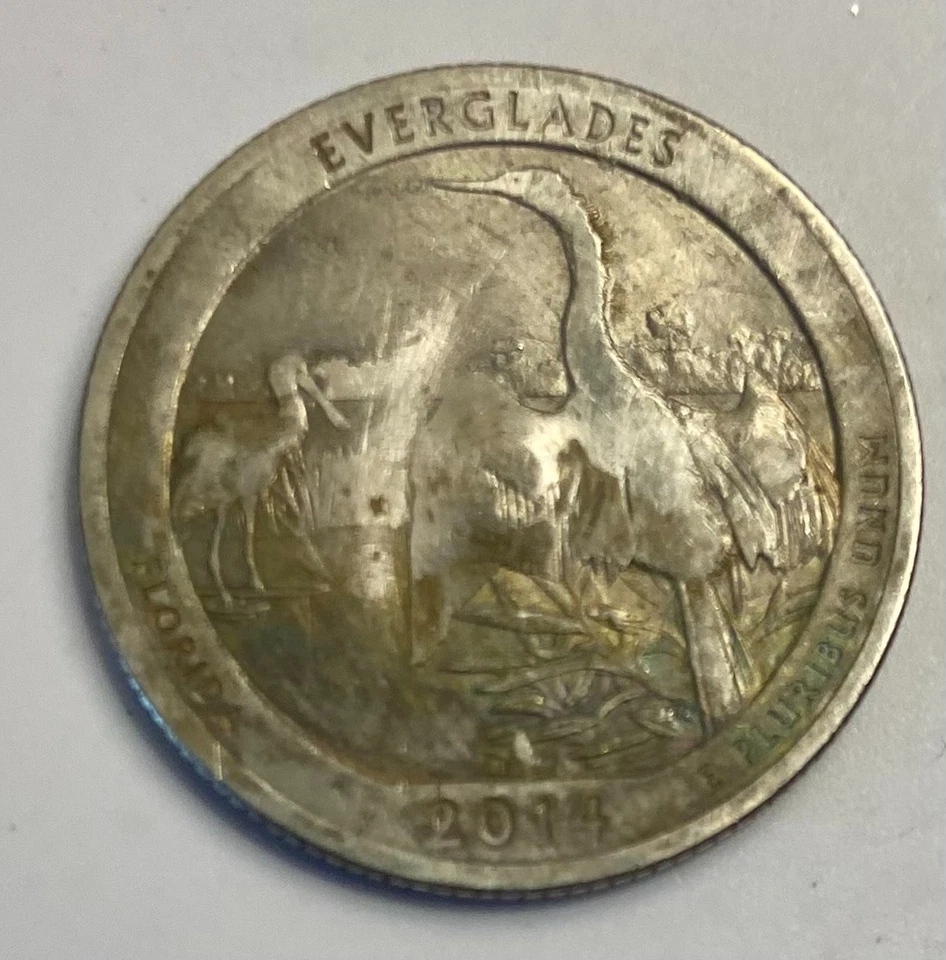 2014"P" Florida Quarter**Multiple Errors**Toned**(Rare) - Image 2 of 2