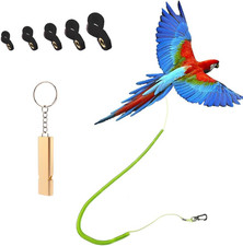 Parrot Bird Harness Leash Anti-Bite Outdoor Flying Training Rope with 5Pcs Diffe