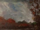 Loon On Lake Painting Original Moody Camp Nature Vintage Wildlife Bird Art — photo 3