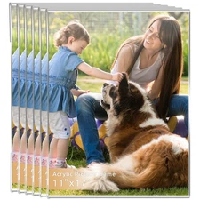 11x17 Clear Acrylic Picture Set of 6 Wall Mount Photo Poster Document Display