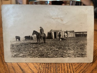 RPPC Rare Cowboy Ranch Roped Steer Old West 