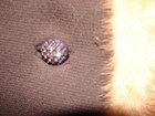 Bild 3 von 10