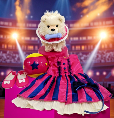 American Girl Talent Show Retired Set Dress Headband Shoes Dog Props