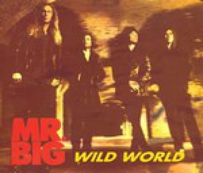 Mr. Big - Wild World MCD #G45249