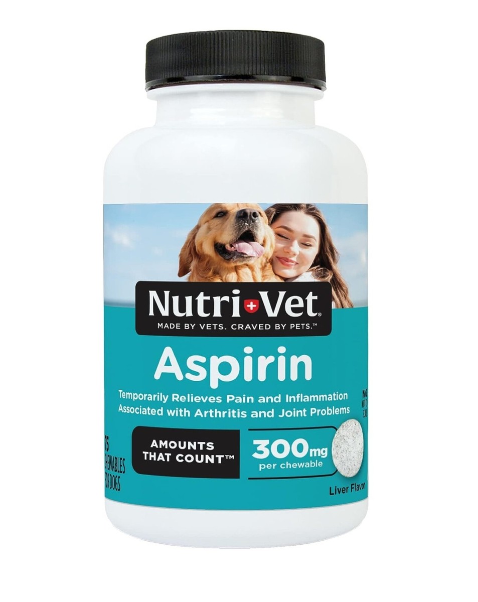 Veterinarian Dog Friendly Over Giving Dogs Pain Medicine Vetality