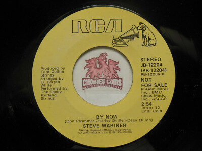 Promo! STEVE WARINER - By Now / Same, 45 RPM VG+ (KF) 