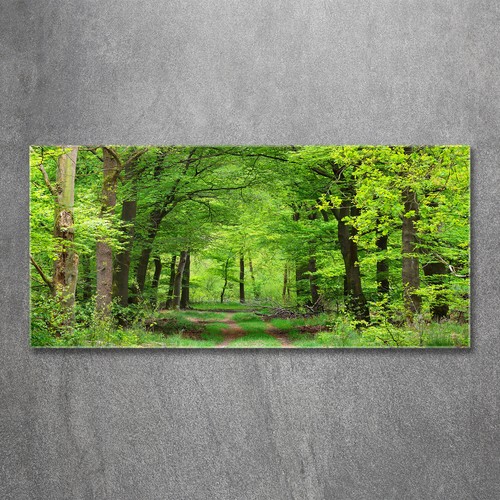 Tableau Acrylique Tulup 120x60 Cm - Skieurs, Image Sur Verre, Style Moderne, Blanc