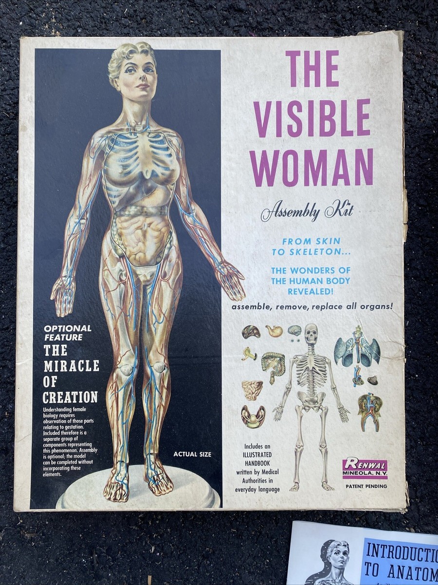 1960 Renwal The Visible Woman Assembly Kit - #804 With Miracle Of