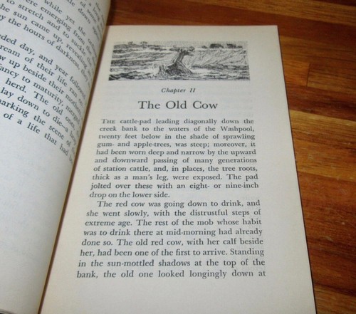 MAN-SHY A Story of Men & Cattle ~ Frank Dalby Davison. UNread sc HERE in MELB - Picture 10 of 17