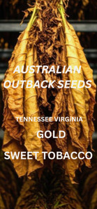 tobacco seeds australia Australian native seeds, Nicotiana suaveolens Ceremonial Indian TOBACCO 1000+ SEEDS
