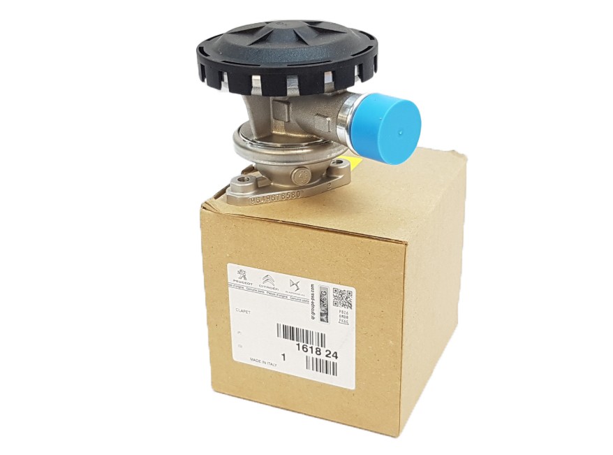 Soupape EGR pour Citroën Saxo et Peugeot 206 306 1007 motorisations essence