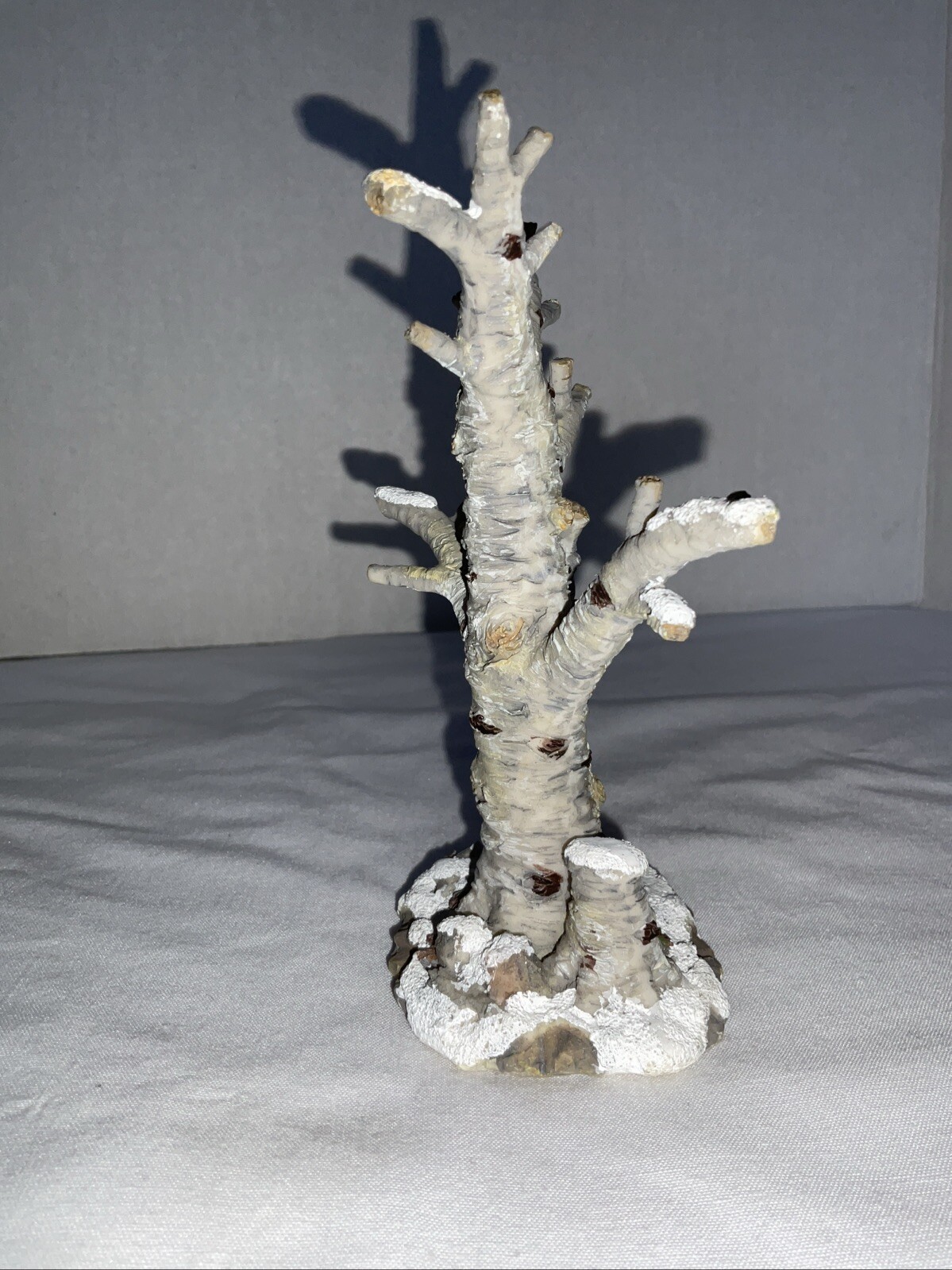 Picture 8 of 8