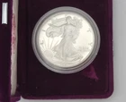 1991 Silver American Eagle