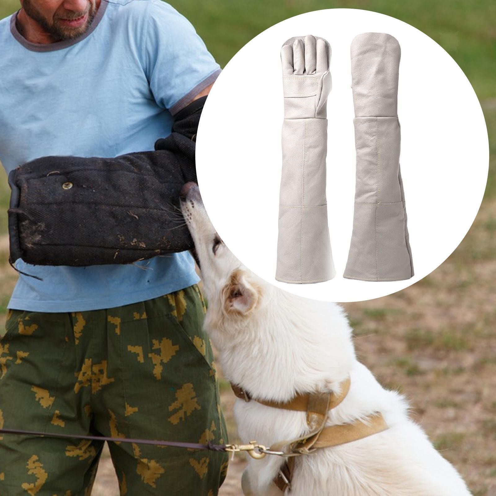 Animal Handling Gloves Multiuse 60cm Extra Long for Birds Snake Animals