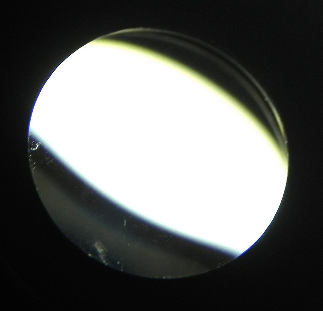 Picture 12 of 12