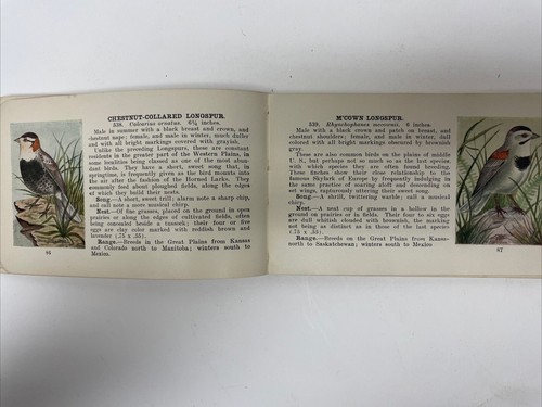 Antique Bird Guide Land Birds East Of The Rockies Field Guide By Chester A. Reed - Picture 8 of 14