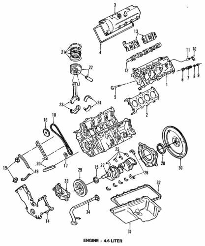 Sello de vástago de válvula para Ford Crown Victoria E250 Mercury 4.6L V8 1996-2014 (N/P F4AZ6571A)