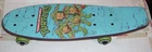 TEENAGE MUTANT NINJA TURTLES SKATEBOARD 2017