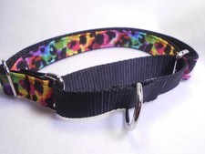 Rainbow Cheetah 1" Adj Martingale Collar