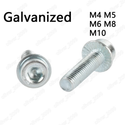 Galvanized Steel Hexagon Socket Head With Serrated Flange Screws M4 M5 M6 M8 M10