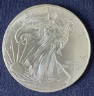 2013 American Eagle Walking Liberty Coin Silver Dollar .999 1 Troy Ounce US Mint
