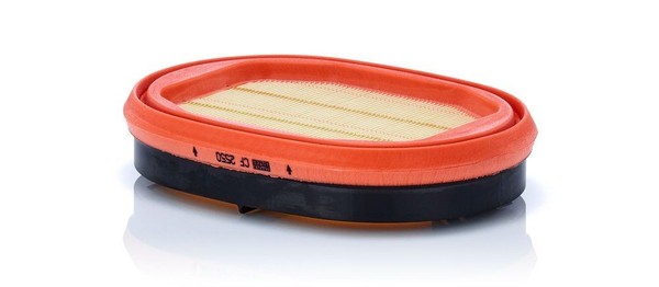 Neu - MANN-FILTER CF2550 SekundäRluftfilter-image