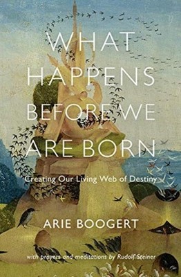 What Happens Before We Are Born: Creating Our Living  by Arie Boogert PAPERBACK