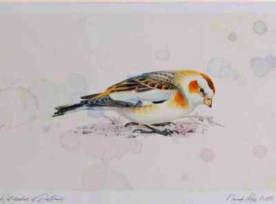 A4 Schneewimpel weiblich Firstwinter Aquarell limitierte Auflage Druck