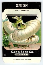White Bermuda Onion 1920's Card Seed Co Packet EMPTY Vintage Fredonia New York