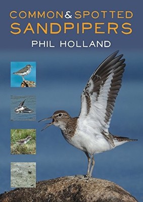 Phil Holland - Common and Spotted Sandpipers - Paperback - F31z