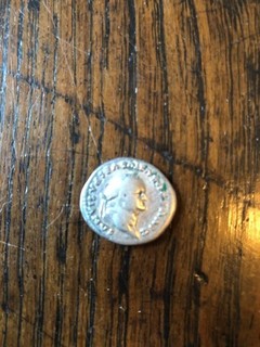 Titus Denarius in honour of Vespasian