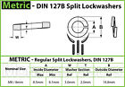 Bild 13 von 15