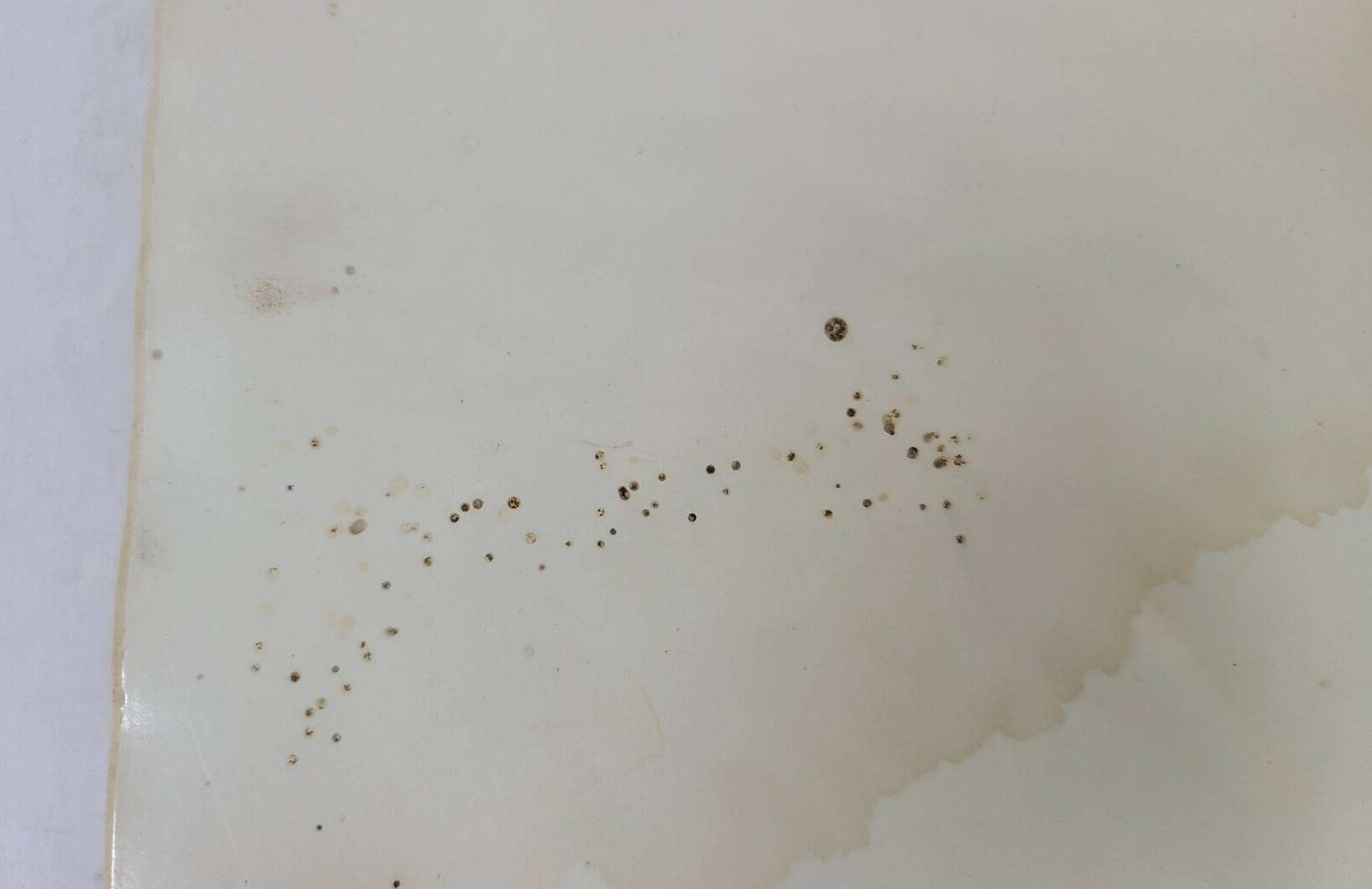 Photo 5/7
