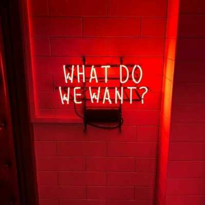 17''x14''What Do We Want Neon Reklame Heim Zimmer Wand Hängend Nachtlicht Schild