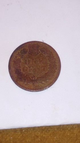 1893, 1894, 1895 Indian Head Penny - 3 coin lot - Picture 3 of 7