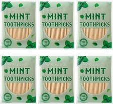 600 Pcs Mint Flavor Toothpicks Bulk Natural Wood Flavored Cinnamon Toothpicks fo