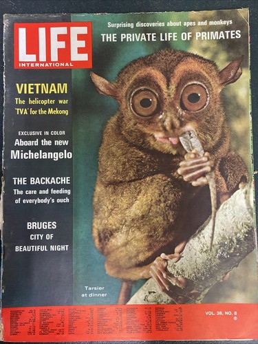 Life International Magazine THE PRIVATE LIFE OF PRIMATES 3 May 1965 vol 38 no 8  - Picture 1 of 7