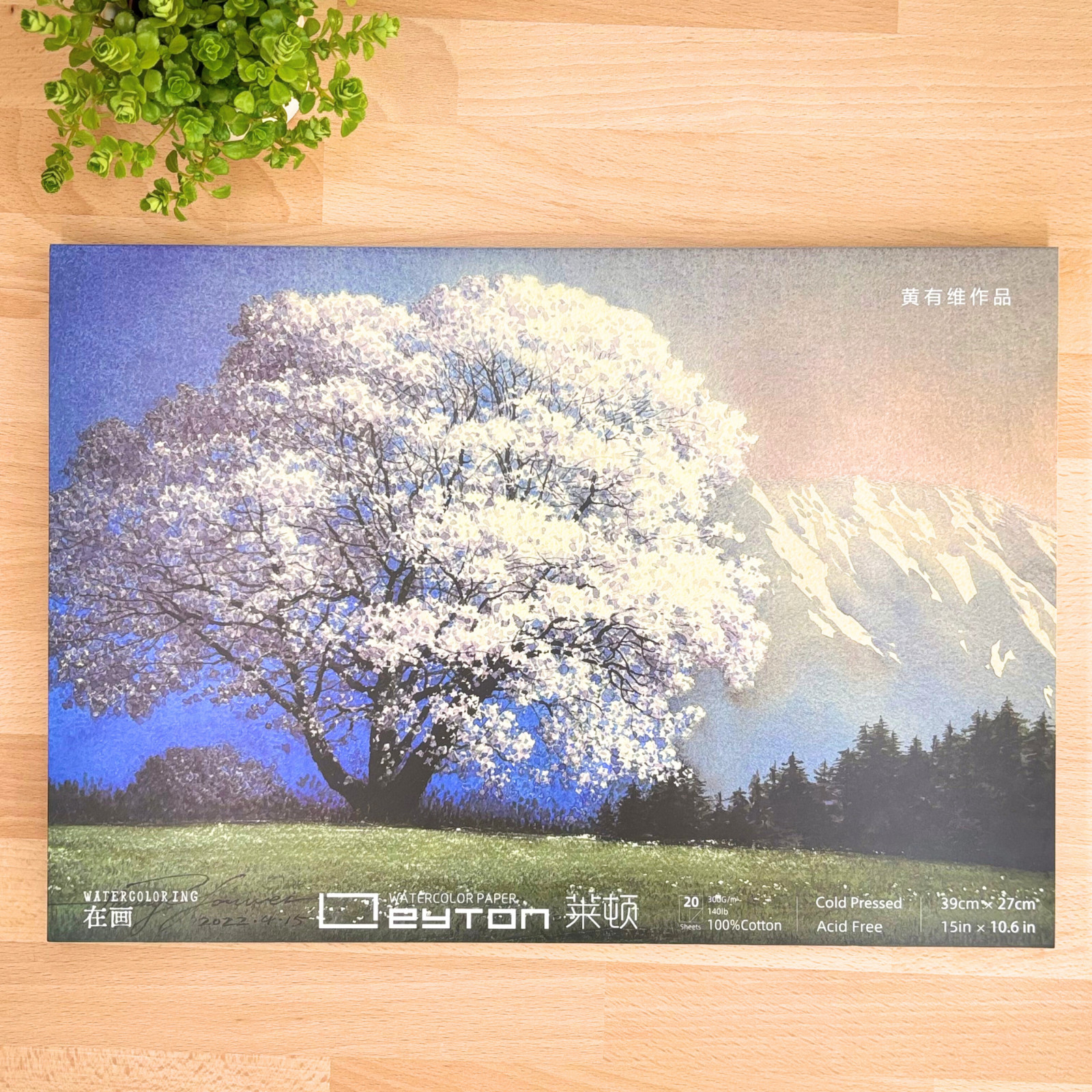 Papier aquarelle coton 300gsm Leyton Grand Bloc de qualité fine