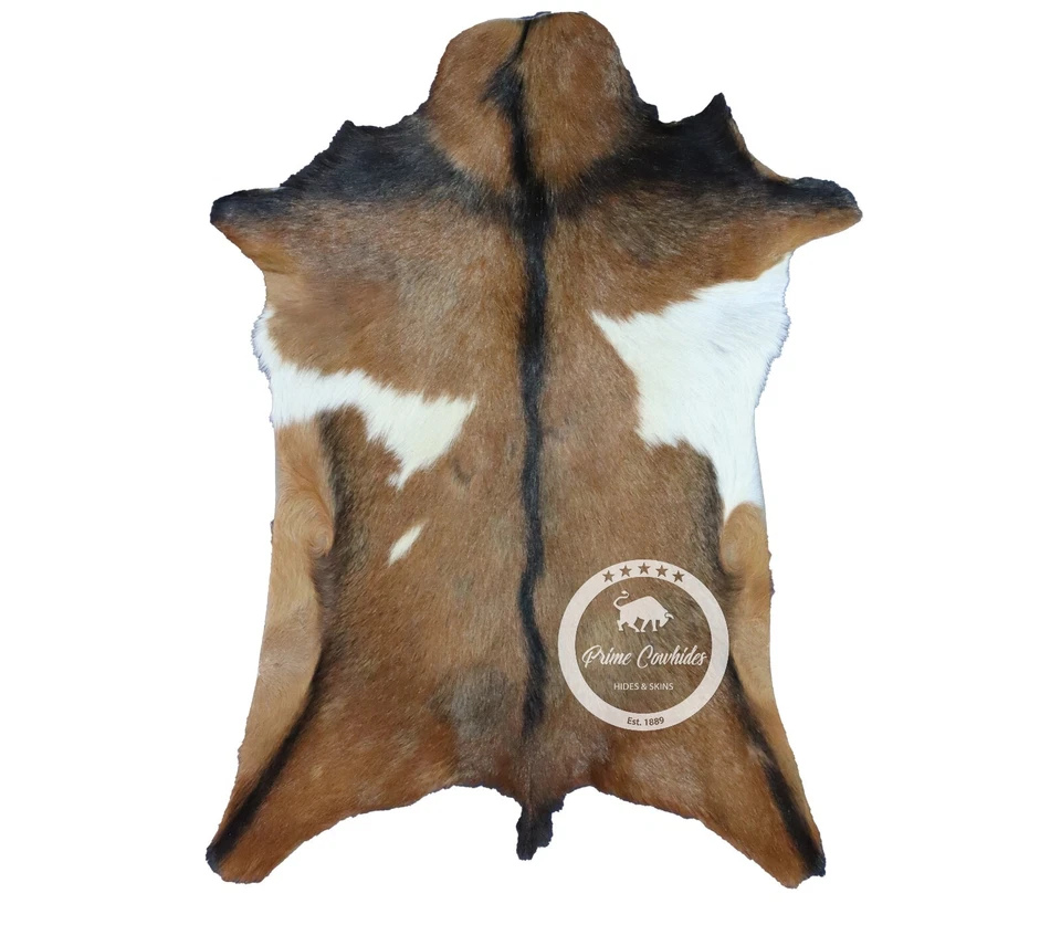 GOATSKIN RUG - Goatskin, High Quality Goatskin Rug, CZ03 - Image 2 of 2