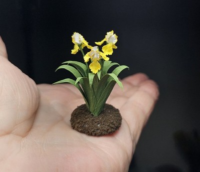 Dollhouse Miniature 1 :12 Artisan made Bearded Iris by Kraig Councell