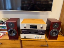 TOTEM Rainmaker Bookshelf Speaker in Cherry Finish (Audiophile Quality)