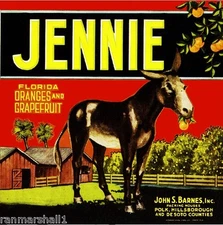 Polk Florida Jennie Donkey Orange Citrus Fruit Crate Label Art Print