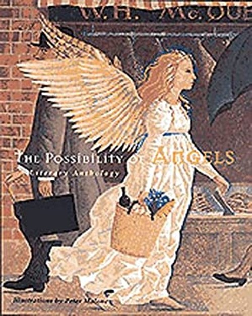 The Possibility of Angels : A Literary Anthology HardcoverFree US Delivery | ISBN:0811815307