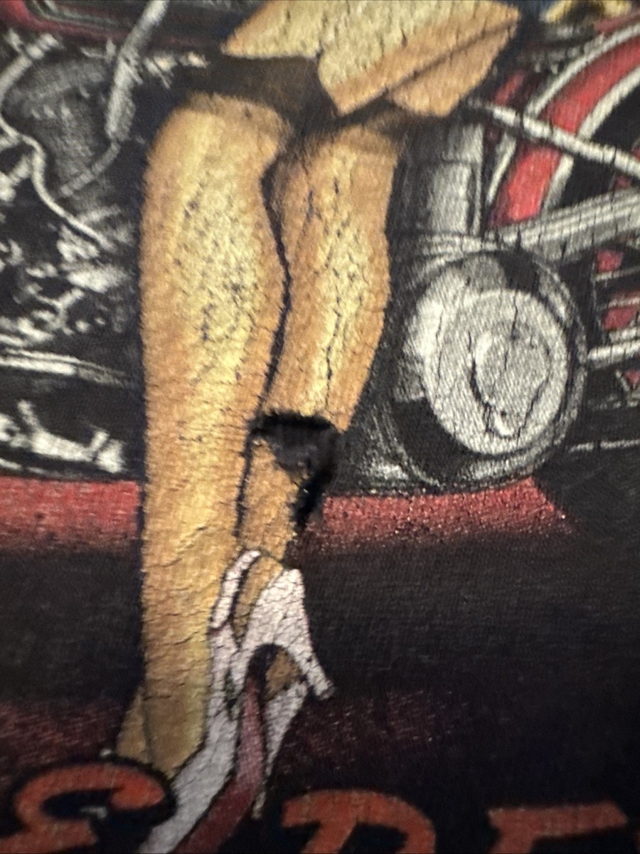 Y2K Harley Davidson Motorcycles Girl Pin Up Flame Shirt 2x Goth