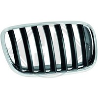 Diederichs KüHlergrill KüHlergitter Schwarz Chrom FüR BMW X5 E70