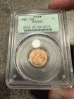 1909 VDB Lincoln Wheat Cent PCGS MS65RD OGH