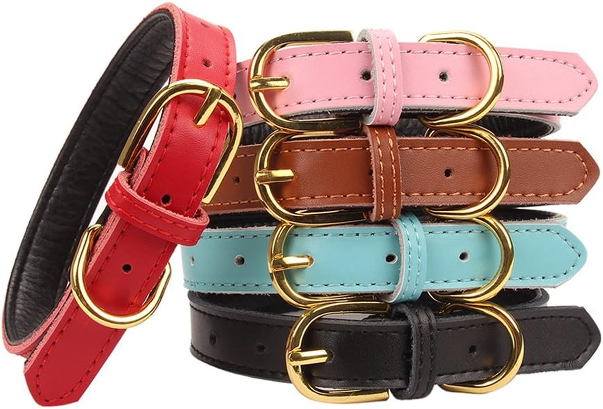 Basic Classic Padded Leather Pet Collars for Cats Puppy Small Medium Dogs (Large